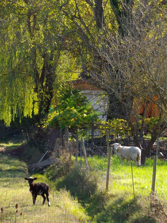 Chambres D'Hote Les Jardins De Prasserat Vallon-Pont-dʼArc Exterior foto